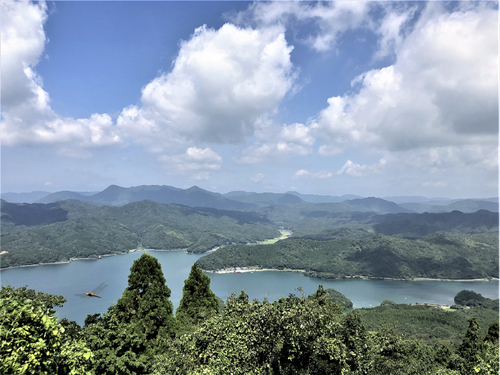竜洞山からの景色