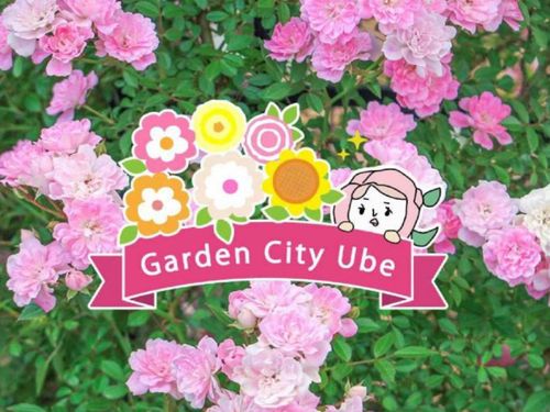 宇部市での地域おこし活動に意欲のある方お待ちしています！