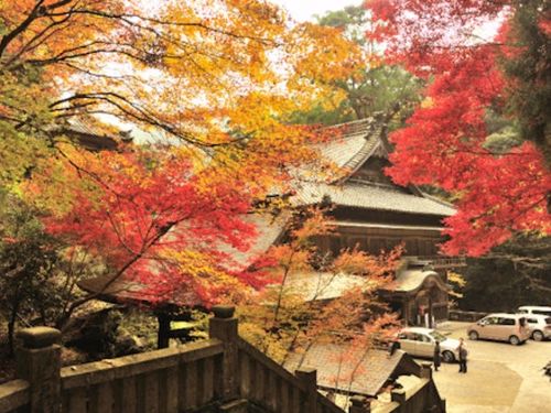 新宮の風景（秋の紅葉と仙龍寺）