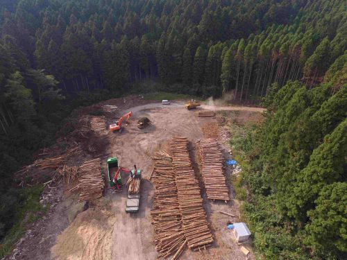 主土場（約1ha）のドローン撮影です。バイオマスチップ用の木材が大量にストックされています。これらは適宜チップ化し出荷されます。