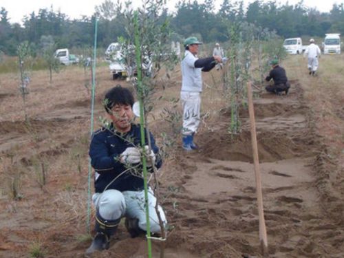 生産者としての就職を目指す
