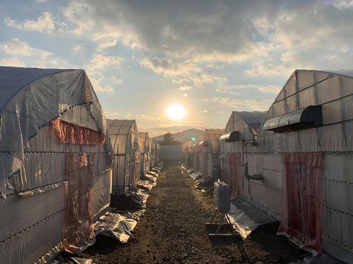 ”地域と人々の根となり美味しい革命を実らせよう”をモットーに活動をしています。