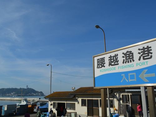 江ノ島が正面に見える腰越漁港。腰越漁港のアジフライは最高！
