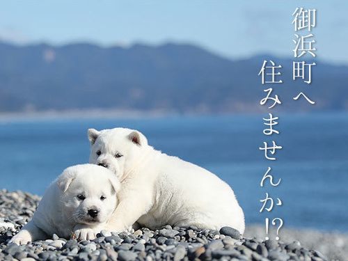 御浜町へ住みませんか？