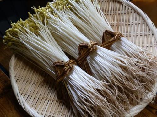 伝統的な名産品「大鰐温泉もやし」