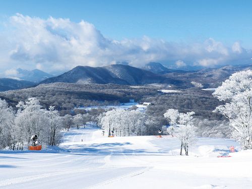 冬の玉原(たんばら)　市街地も雪が降ります
