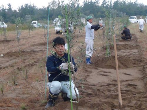 生産者としての就業を目指すこともできます！