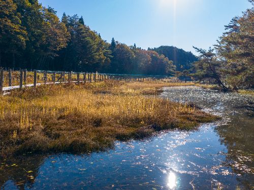 約12万㎡の美しい湿地帯　樫原湿原