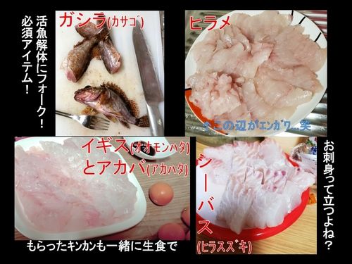 私的お刺身クオリティー…見た目ではなく味重視です！(素材頼り！笑)