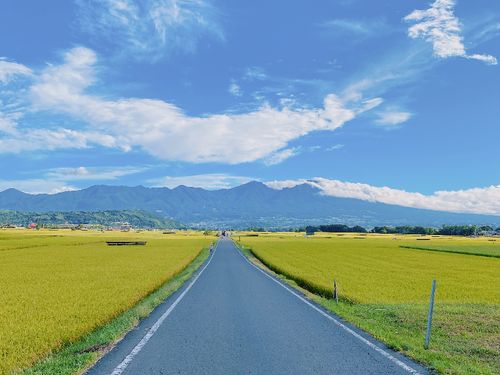 日常で目にする佐久の風景