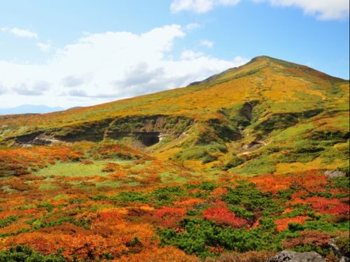 栗駒山の紅葉は「神の絨毯」と呼ばれ、多くの観光客でにぎわいます
