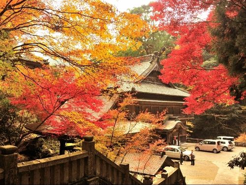 新宮地域にあるお寺の紅葉