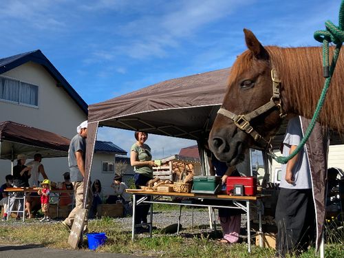 町民主体の小さなイベントもアチコチで。町在住の道産子馬ハナちゃんも参加！
