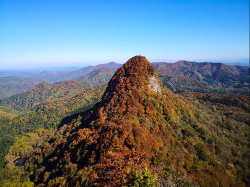 伝承野菜や風習、雪国の暮らし文化、自然など、町の魅力に触れる機会も沢山あります