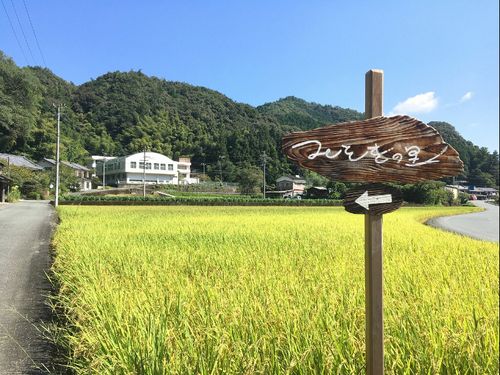 みそぎの里入口の田んぼ