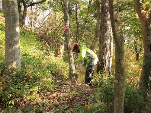沢山の自然に囲まれた職場になります！