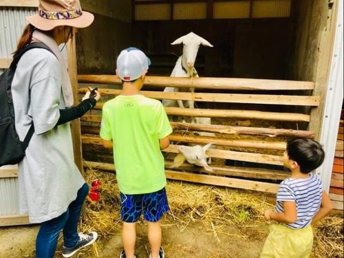 小学校や幼稚園などの体験教室もやっています！