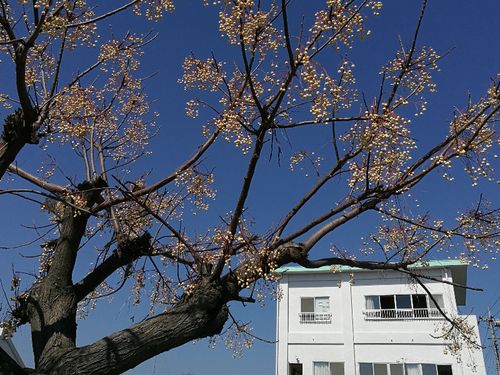 白い四角い建物。屋根だけ淡いグリーンが入っています