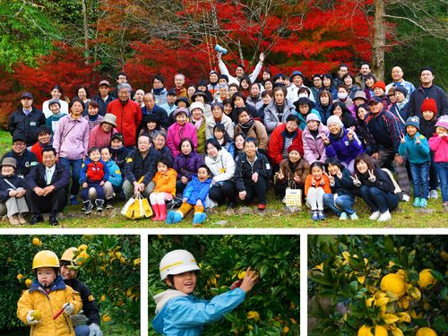 柚子の栽培が盛んな安芸高田市川根地区