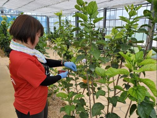展示棟は気温調節が重要