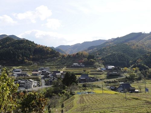 のどかな周辺の風景