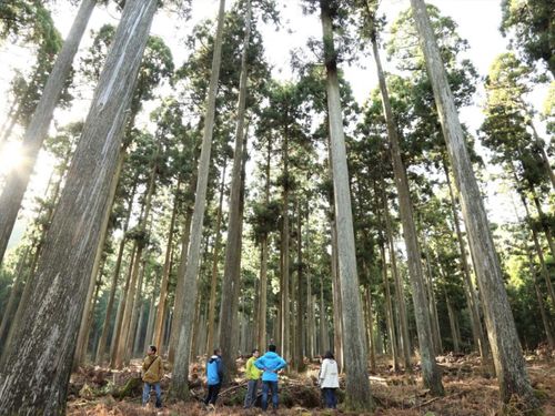 西粟倉村は面積の約93％が森林の地域です