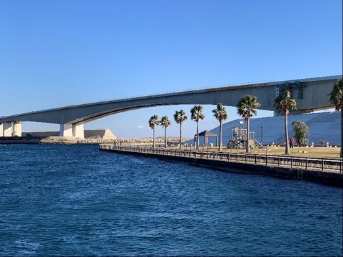 海湖館から見える景色