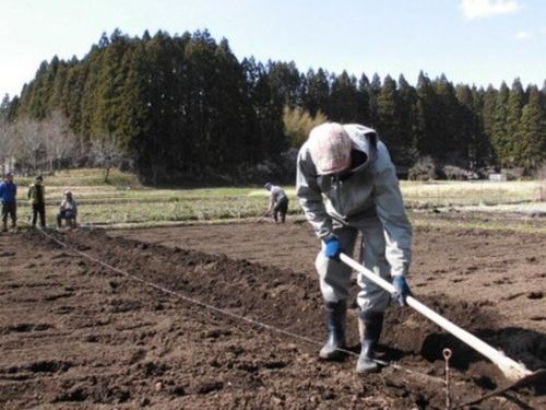 一定区画を全員で作業します