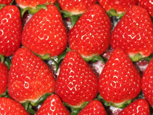 三木町の特産品「さぬきひめ」