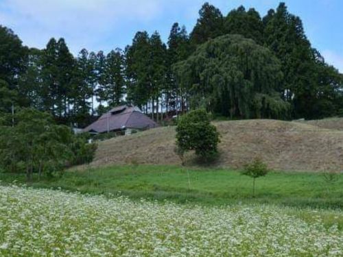 そばで地域活性化とかやっているエリアです。
