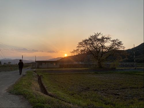 近所の風景、家の前の川には蛍がたくさんやってきます。