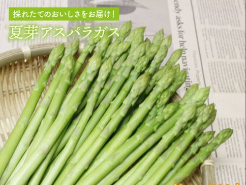 アスパラも特産品なんです！てんぷら最高です！【ふるさと納税品】