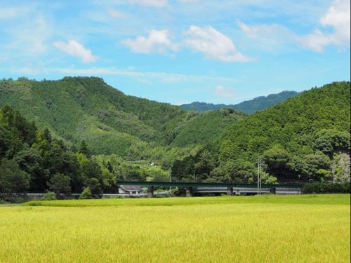 海・山・島・街と様々なライフスタイルのある愛媛県。決め手は自然環境？子育て環境？お仕事内容？それとも地域の人柄？