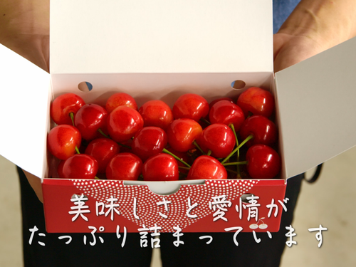おいしさ（愛情）いっぱい～