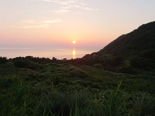 耕作放棄地となった棚田から見る夕日は絶景！ここにはデッキを設置予定