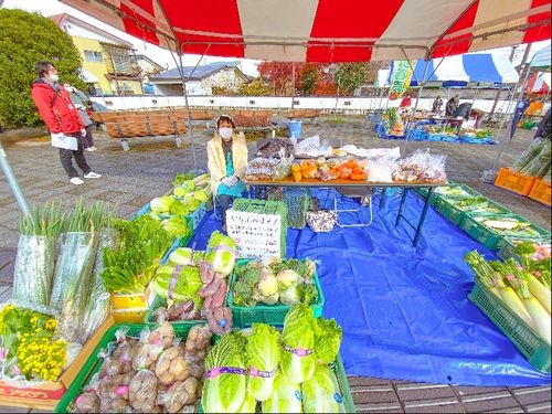 美味しいものほど他所にはでない。地元の野菜を売るおばあちゃんたちは誇らしげで楽しそう。