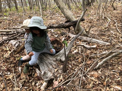 森には一つとして同じ形がなく、子どもたちはその様々な形を使い、見立て遊びをしています。この木は、大きな鳥に見えたようです。