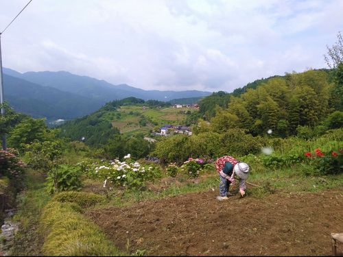 自然と人の営みがつくりだす里山の景色