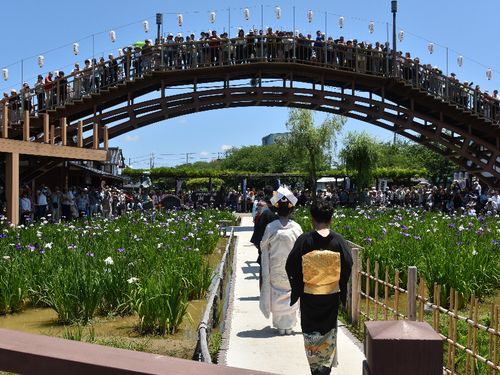 期間中約800,000人が訪れるあやめ祭り、潮来市で一番大きなお祭りです