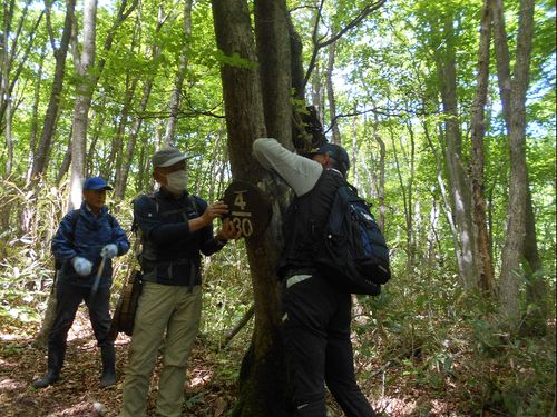 安達太良山が暮らしの身近にあります