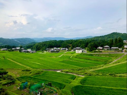 とにかく緑がきれい！！