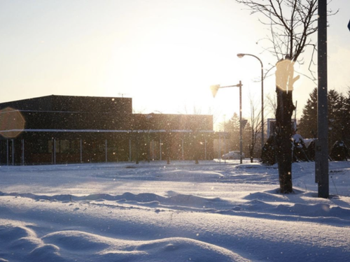 冬は空気中や地面が太陽/月明かりに照らされ、ふわふわの雪で光ります。
