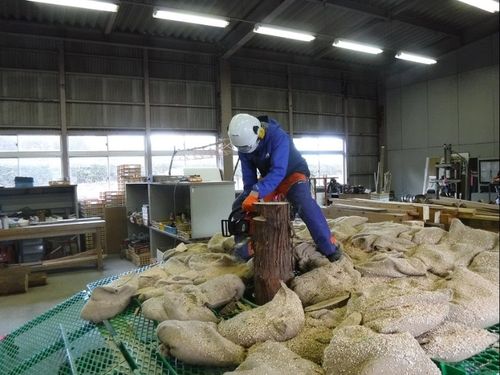 研修の様子（伐倒練習機での伐倒練習）