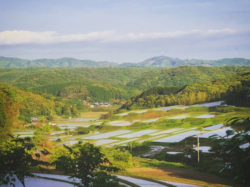 【宇部市】廃校を活かして、竹の利活用について発信する竹ラボ事業もスタート