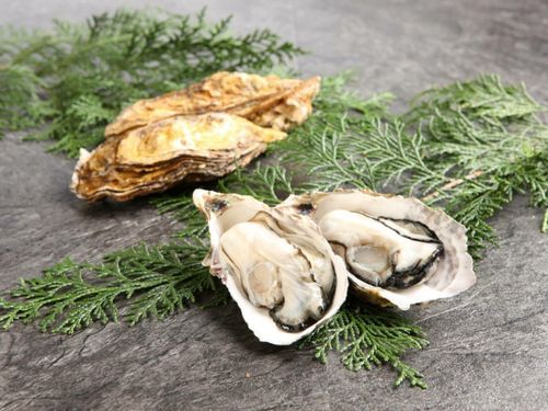 能登かきをはじめ、食材は新鮮・高品質なものばかりです！