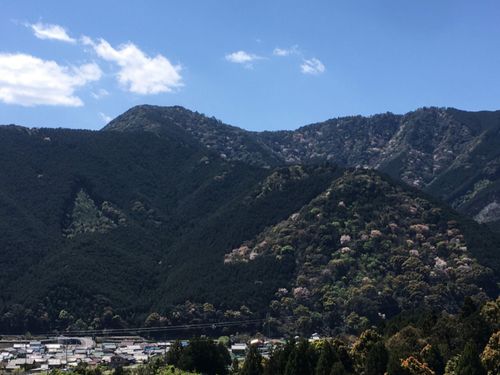 植林と自然林の混在する三木里町
