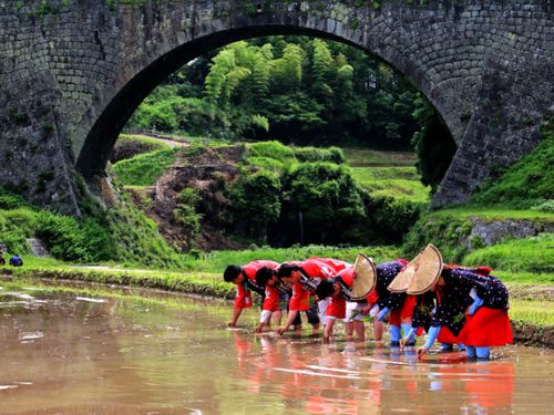 町のシンボル通潤橋。豊かな水を育んでいます。