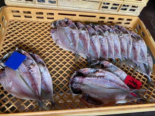 美味しい干物の作り方を教えてもらいましょう
