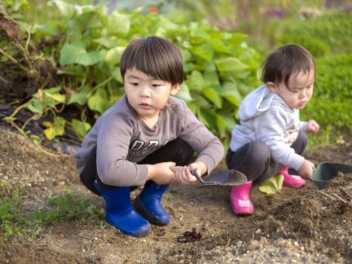 お子さんと一緒にプチ農業