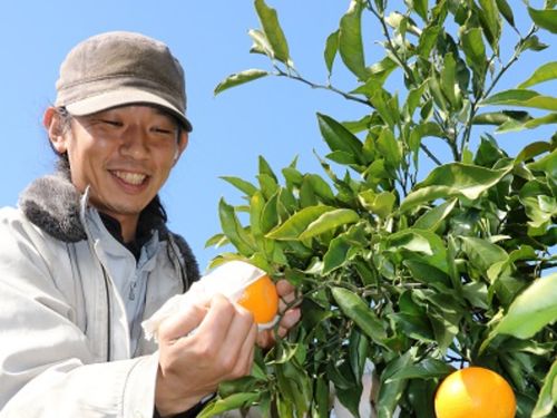 ＪＡ農業研修生